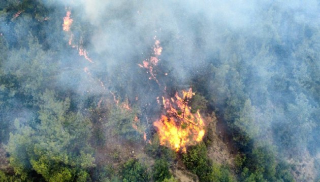 Karabük'te orman yangını