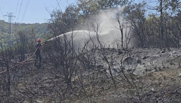 Çekmeköy'deki yangın kontrol altında