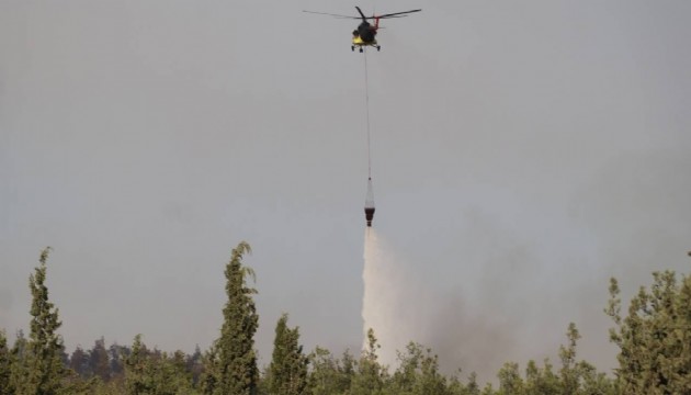 Kuru otları temizlenirken orman yandı