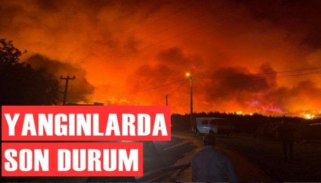 Bursa ve Karabük'teki orman yangınlarında son durum