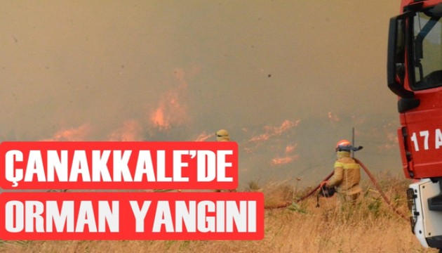 Çanakkale'de orman yangını