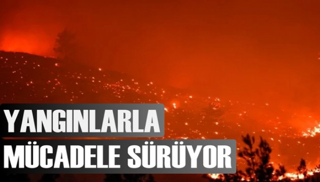 Hatay ve Mersin'de orman yangını