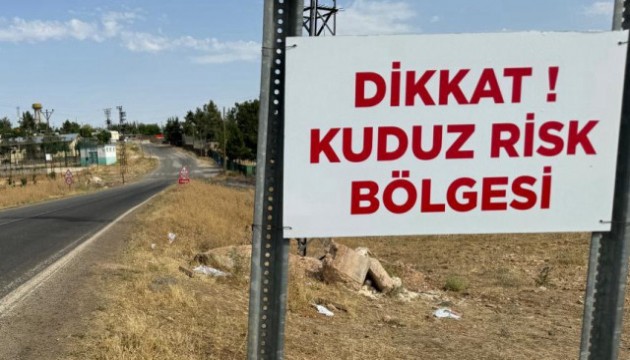 Türkiye'de kuduz alarmı