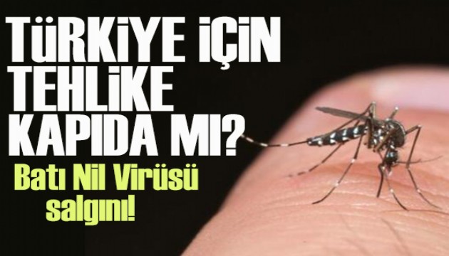 Batı Nil Virüsü salgını Avrupa'da can alıyor: Türkiye için tehlike kapıda mı?