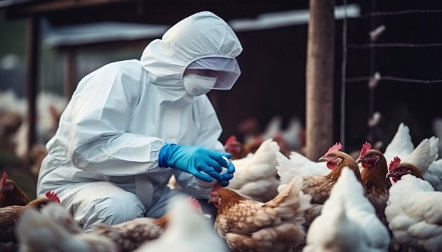 ABD'de kuş gribi krizi!