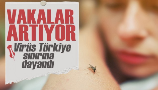 Vaka sayısında patlama! Türkiye sınırına dayandı