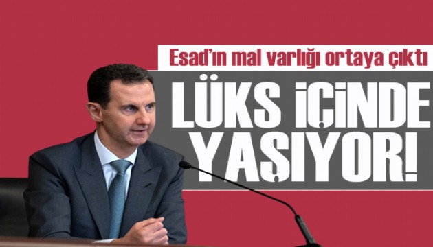 Esad'ın mal varlığı ortaya çıktı! Banka hesapları, lüks daireler...