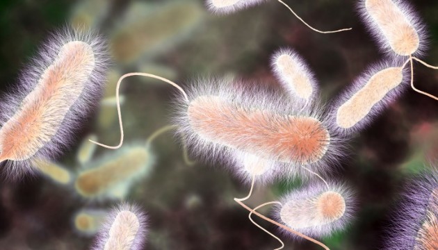 Ölümcül parazit alarmı: Vücutta yıllarca gizleniyor