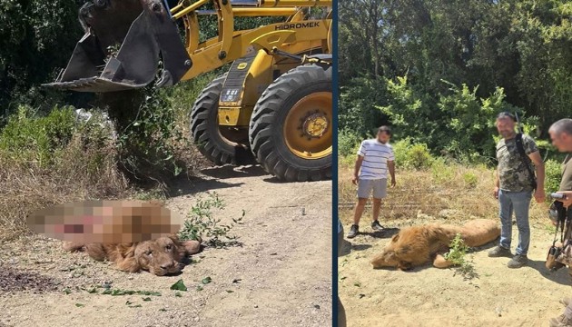 O işletme zabıta tarafından mühürlendi