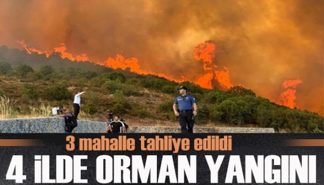 Rüzgarda büyüyen alevler evlere sıçradı, 3 mahalle tahliye edildi