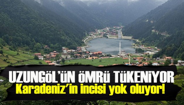 Karadeniz'in incisi yok oluyor! Uzungöl'ün ömrü tükeniyor