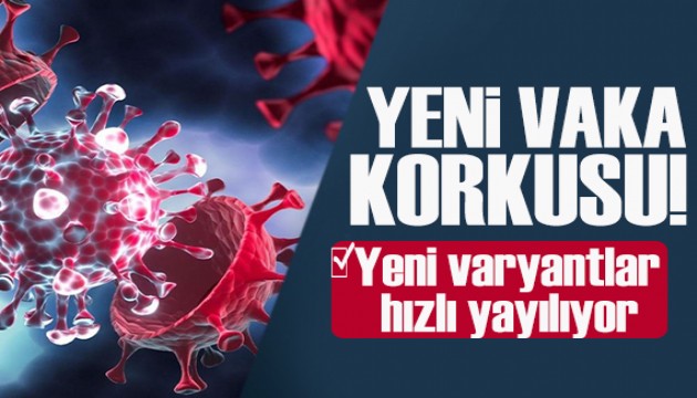 Yeni varyantlar Avrupa'da yayılıyor ama Türkiye'de hala analiz yok