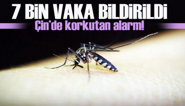 Çin'de Chikungunya alarmı: 7 bin vaka bildirildi