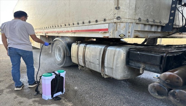 Yüksekova'da şap hastalığına karşı alarm!