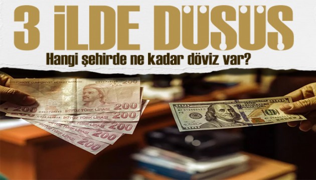 Hangi şehirde ne kadar döviz var? 3 ilde düşüş