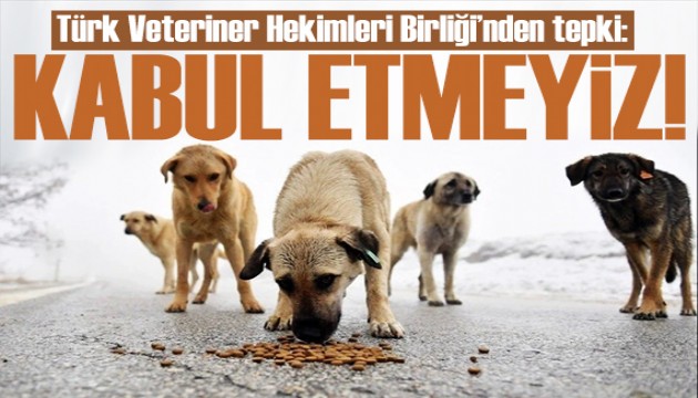Veteriner Hekimleri Birliği'nden tepki: Bu tip bir zorlama asla olmamalı!