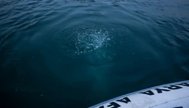 Sapanca Gölü'nde korkutan tablo