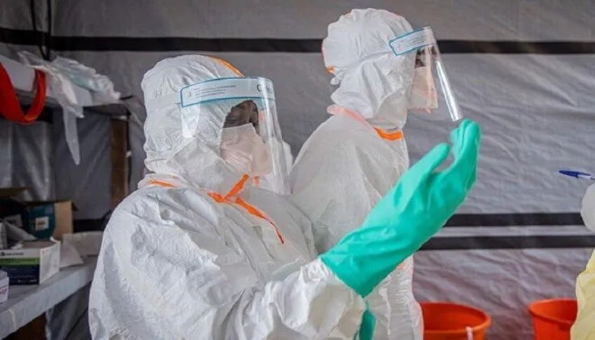 Bundibugyo Ebola türüne karşı umut veren aşı gelişmesi