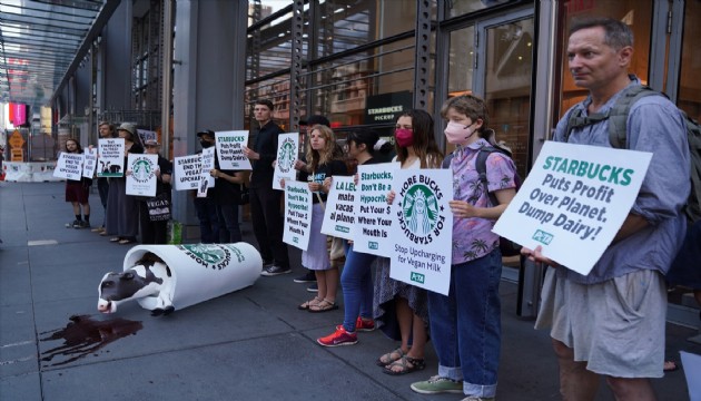 New York'ta Starbucks karşıtı protesto