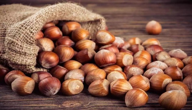 Fındık hırsızı tutuklandı!