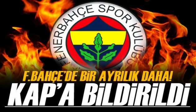 Fenerbahçe, Attila Szalai'yi KAP'a bildirdi!