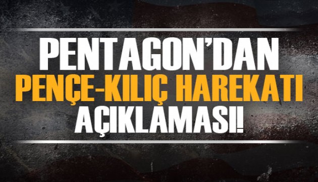 ABD'den Pençe-Kılıç Harekatı açıklaması!