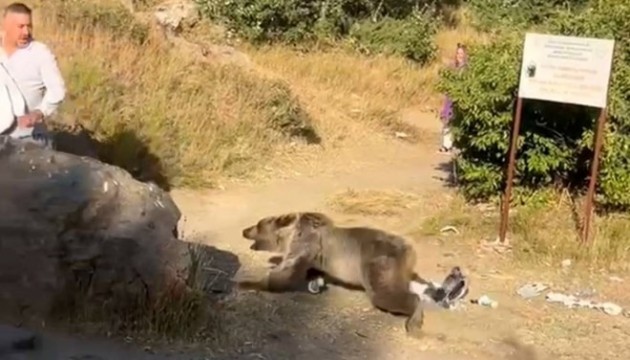 Kucağında bebeğiyle ayı saldırısına uğradı