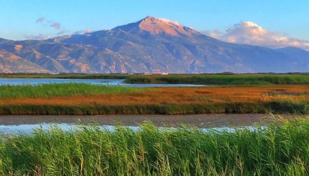Milleyha'da koruma incelemesi