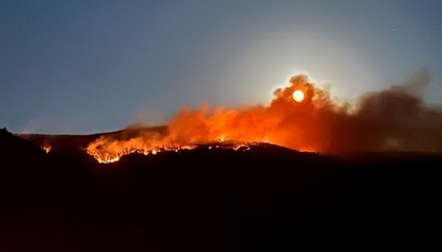 Çankırı'da orman yangını