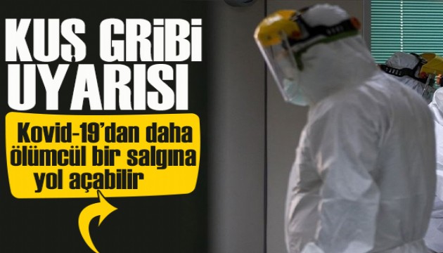 Bilim Dünyasından kuş gribi uyarısı: Kovid-19'dan daha ölümcül bir salgına yol açabilir