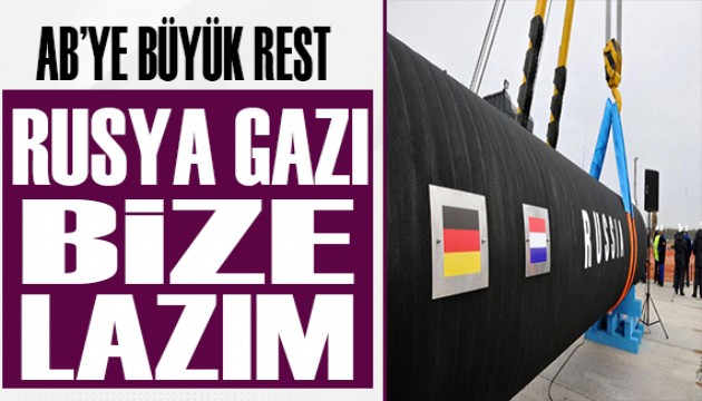 AB'ye büyük rest! Rusya gazı bize lazım