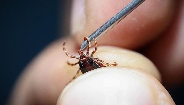 Kenelere karşı dikkat çeken uyarı