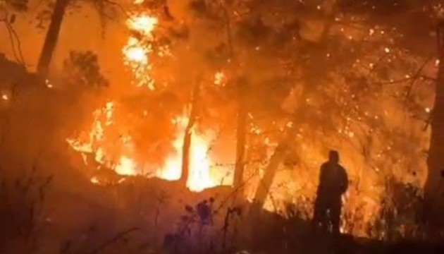 Hatay'da orman yangını