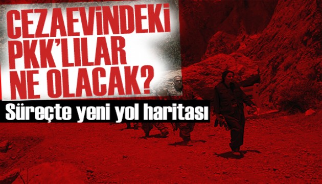 Süreçte yeni yol haritası: Cezaevindeki PKK'lılar ne olacak?