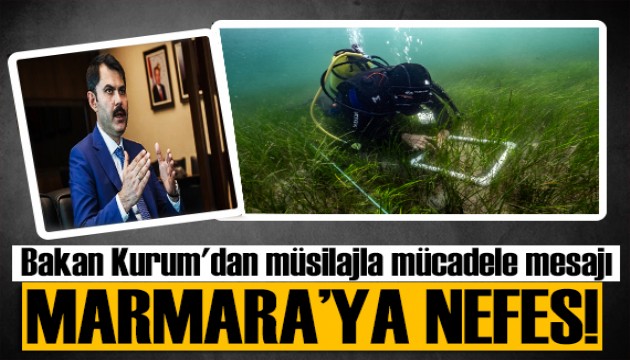 Bakan Kurum'dan müsilajla mücadele mesajı: Marmara'ya nefes oluyor
