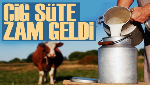 Çiğ süte zam geldi! Peynir ve yoğurt fiyatları artacak