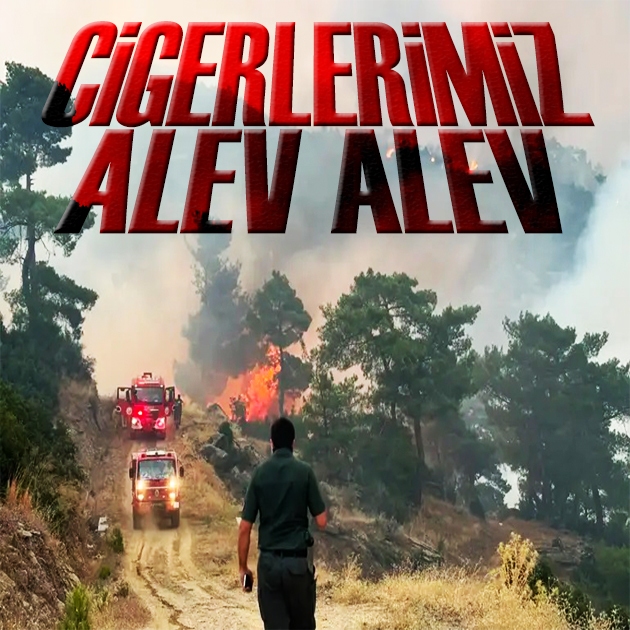 Aydın ve Balıkesir'de alarm! Yangınla mücadele sürüyor