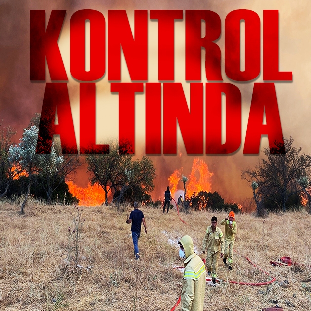 Bakan Yumaklı orman yangınlarına ilişkin bilgi verdi: Kontrol altına alındı