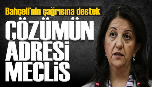 DEM Parti'den Bahçeli'nin çağrısına olumlu yanıt: Meclis kapanmadan adım atılmalı