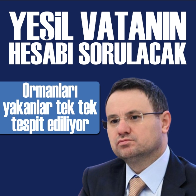 Orman yangını soruşturmalarında 6 tutuklama! Bakanlardan peş peşe açıklama