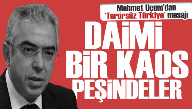 Cumhurbaşkanı Başdanışmanı Mehmet Uçum: Hedef Terörsüz Türkiye'ye geçişi sabote etmek!