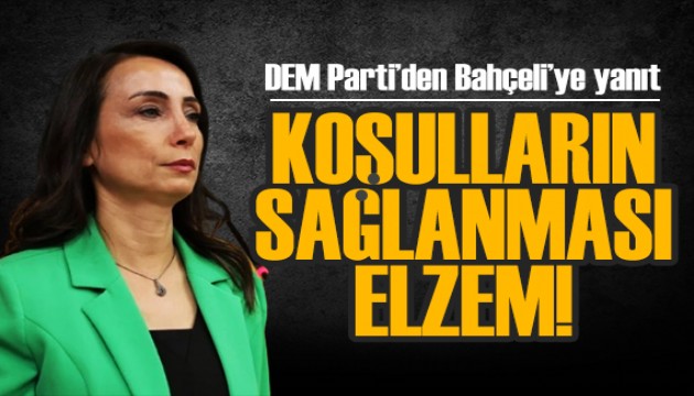 DEM Parti'den Bahçeli'ye yanıt: Somut adımların atılması elzemdir