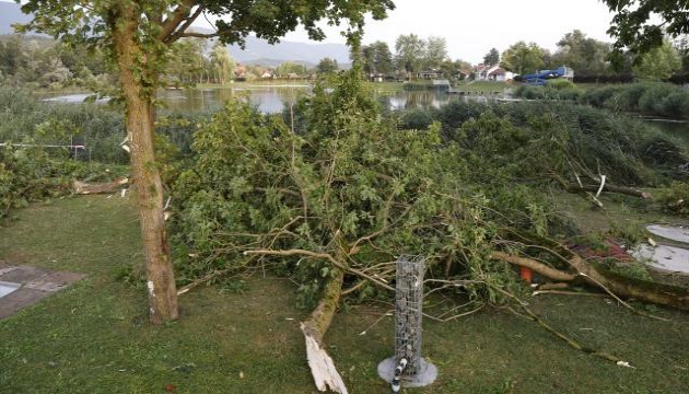 Avusturya'da şiddetli fırtına: 2 çocuk hayatını kaybetti