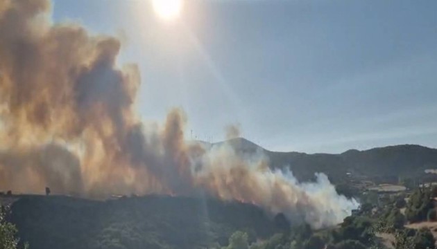 Susurluk'ta orman yangını!