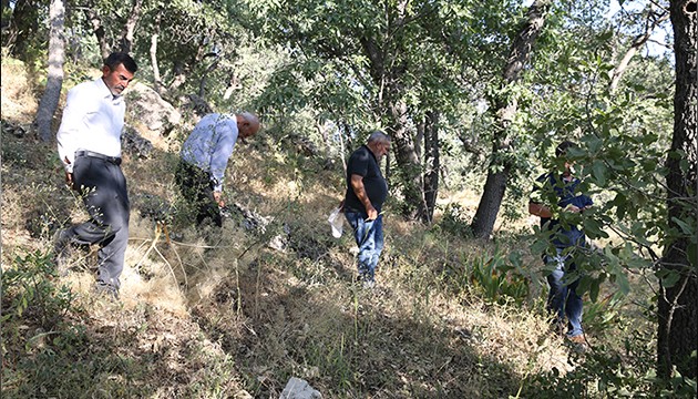Siirt'te adaçayı nöbeti
