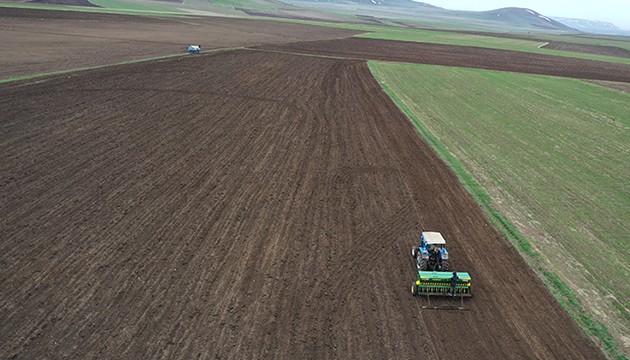 Ağrı'nın verimli ovasında ekim zamanı!