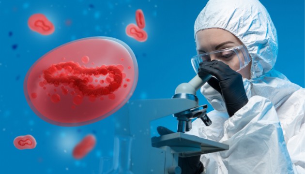 Dünyanın en ölümcül bulaşıcı hastalığı geçen yıl 1,23 milyon can aldı