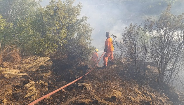 Antalya'da orman yangını