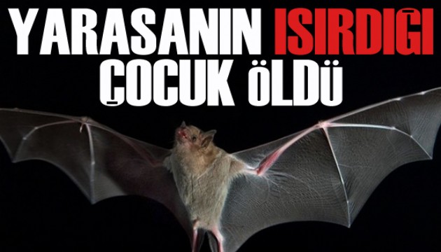 Yarasanın ısırdığı çocuk öldü!