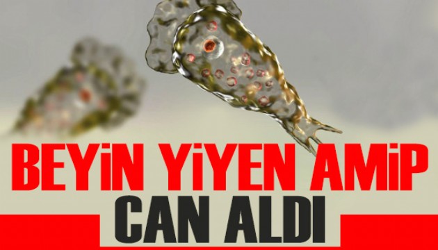 'Beyin yiyen amip' can aldı